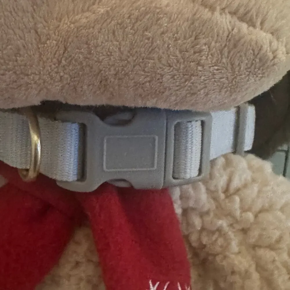 Light Grey with black trim dog collar - Lace bow - Size Medium